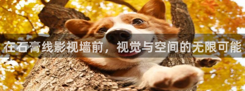 超碰电影在线观看：在石膏线影视墙前，视觉与空间的无限可能