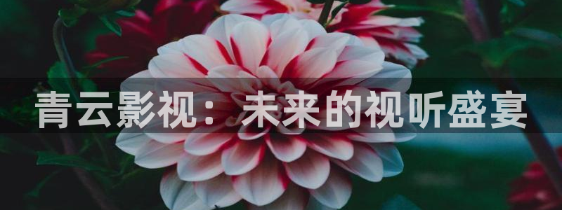 超碰在线观看：青云影视：未来的视听盛宴