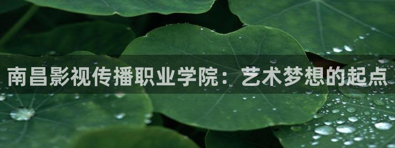97超碰在线分类：南昌影视传播职业学院：艺术梦想的起点