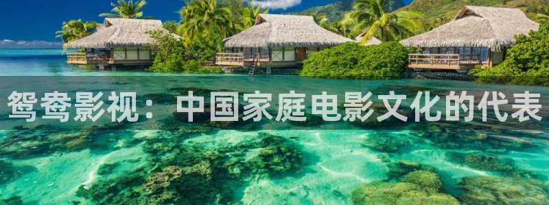 超碰免费在线公开：鸳鸯影视：中国家庭电影文化的代表