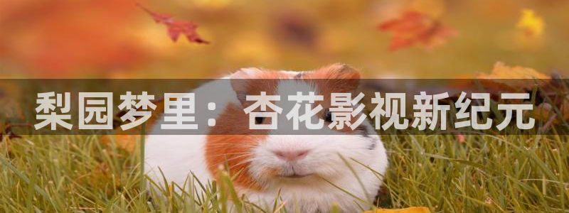 在线超碰av社区：梨园梦里：杏花影视新纪元
