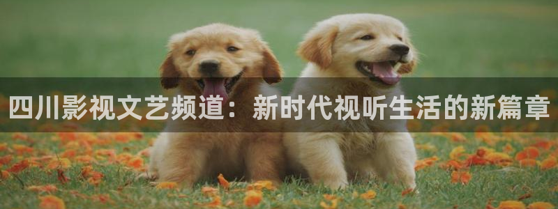 91超碰中文字幕：四川影视文艺频道：新时代视听生活的新篇章