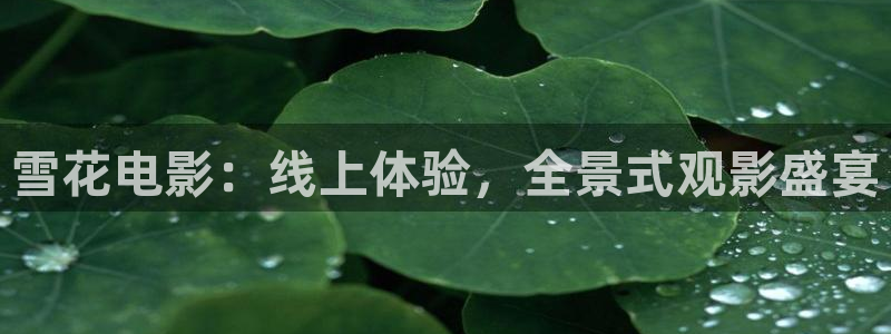 国产超碰97人人做人人爱：雪花电影：线上体验，全景式观影盛宴
